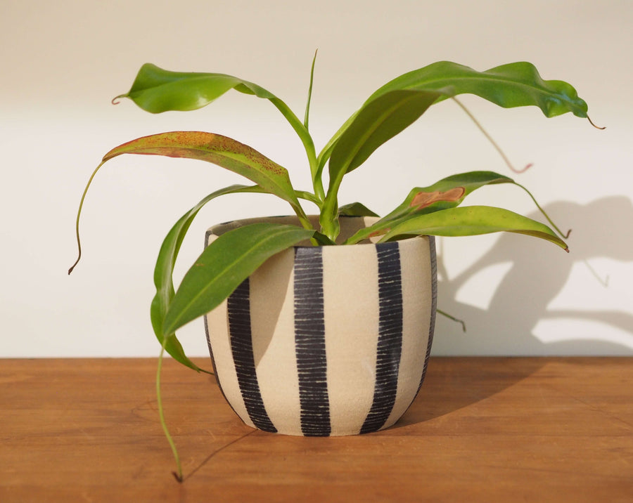 Stripey Blue Steel Planter by TRADE the MARK